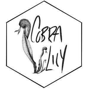 Meet your Posher, Chelsea